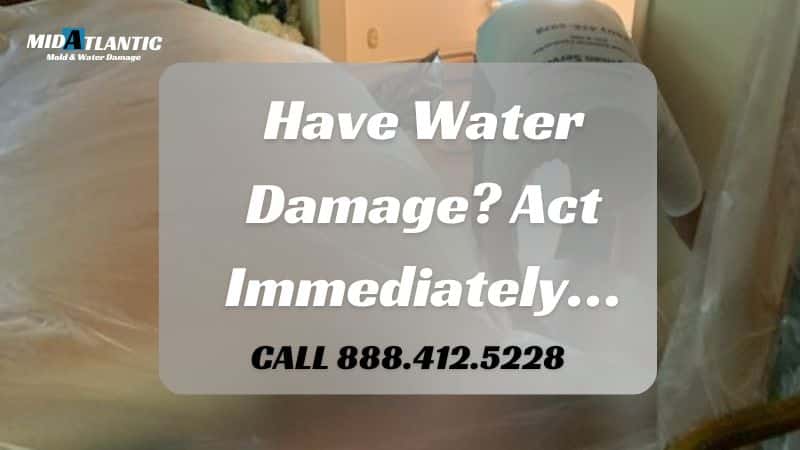Have Water Damage- Act Immediately