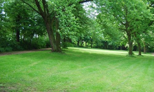 Norwood Local Park