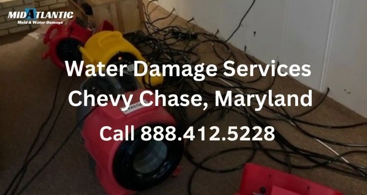 Water Damage Services Chevy Chase, Maryland